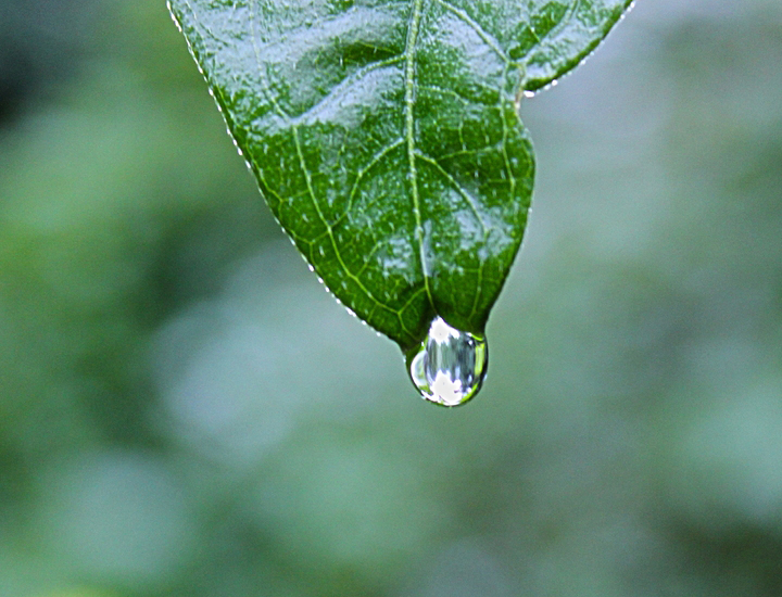 在线手机号轰炸测试